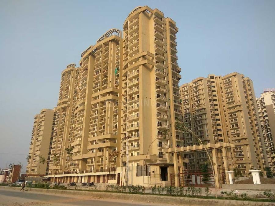 Aims Golf Avenue in