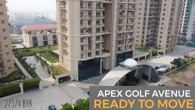 Apex Golf Avenue -Sector 1,