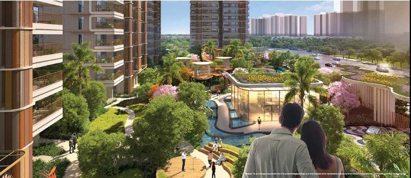 CRC Maesta -