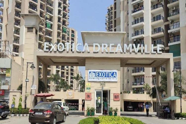 Exotica Dreamville -